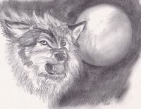 Wolf & Moon